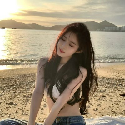 完美独裁